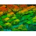 EasyScan X10 — многофункциональная LiDAR-система для БПЛА, SLAM и аэросъёмки